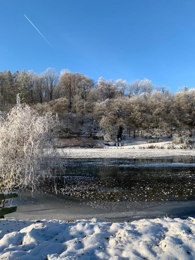 Studio Auf Denkmalgeschuetztem Dreiseithof In Hoefgen Bei Grimma Hofgen  Екстер'єр фото